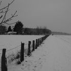 Along the fence.