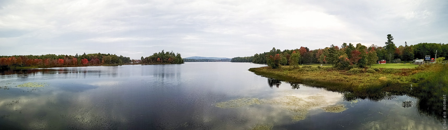 Along the lake