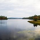 Along the lake