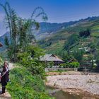 Along the Muong Hoa river