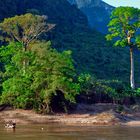 Along the Nam Ou river