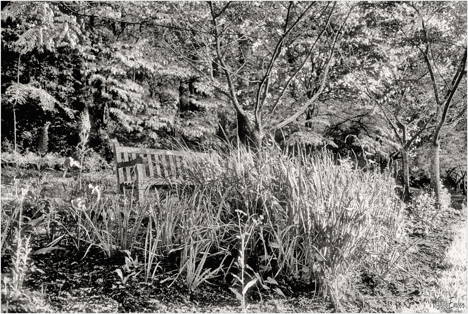 Along the Path to Lake Caroline