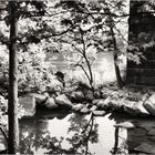 Along the Potomac No.1 - Beneath the Railroad Bridge, Harpers Ferry