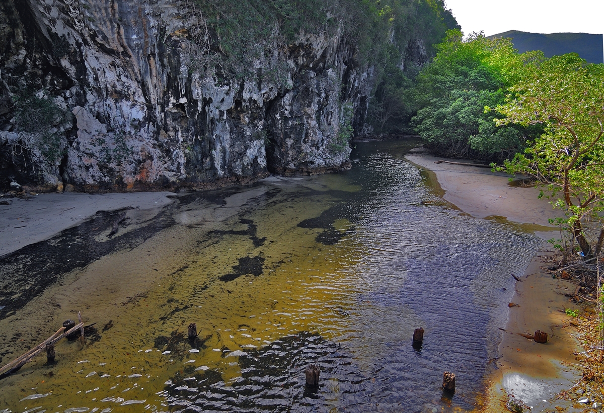 Along the Rio Toa