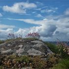 Along the wild Atlantic way