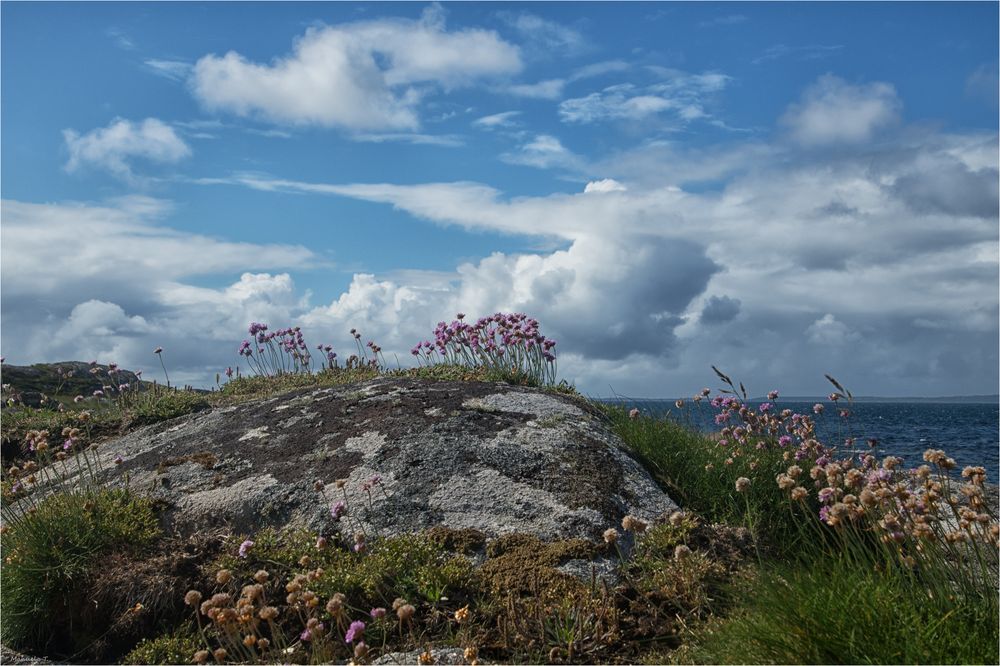 Along the wild Atlantic way