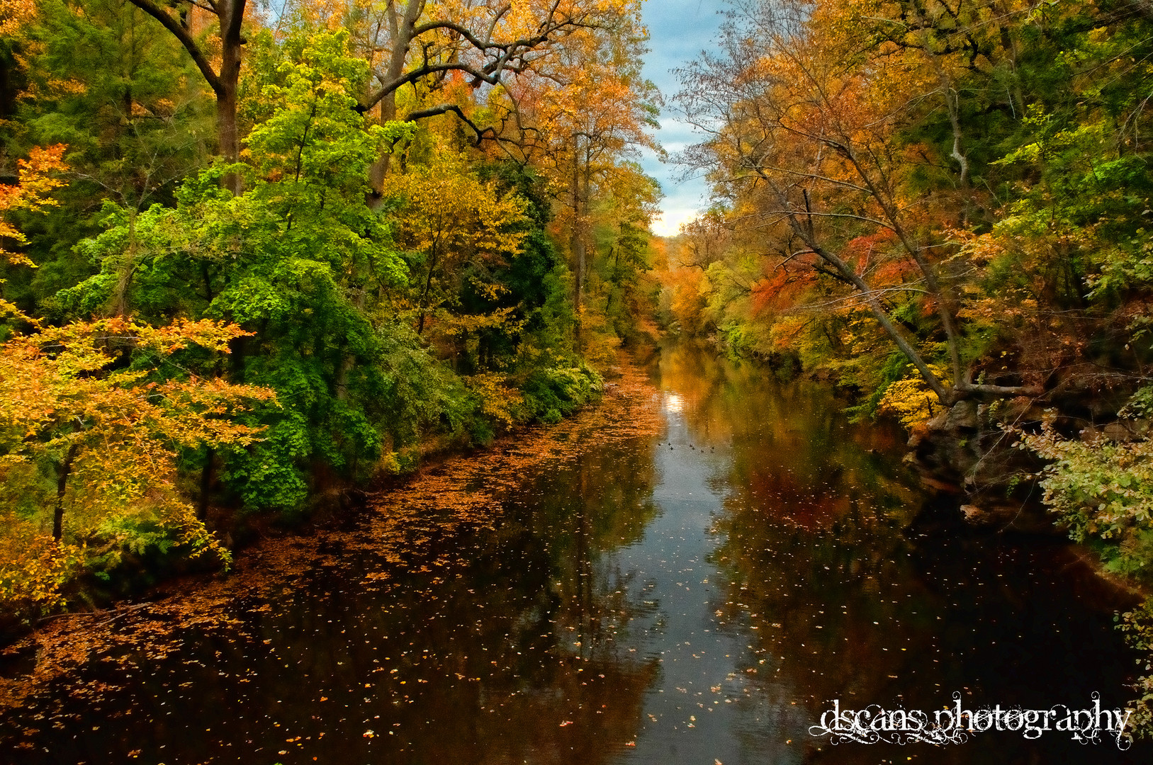 Along the Wissahickon Creek