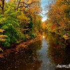 Along the Wissahickon Creek