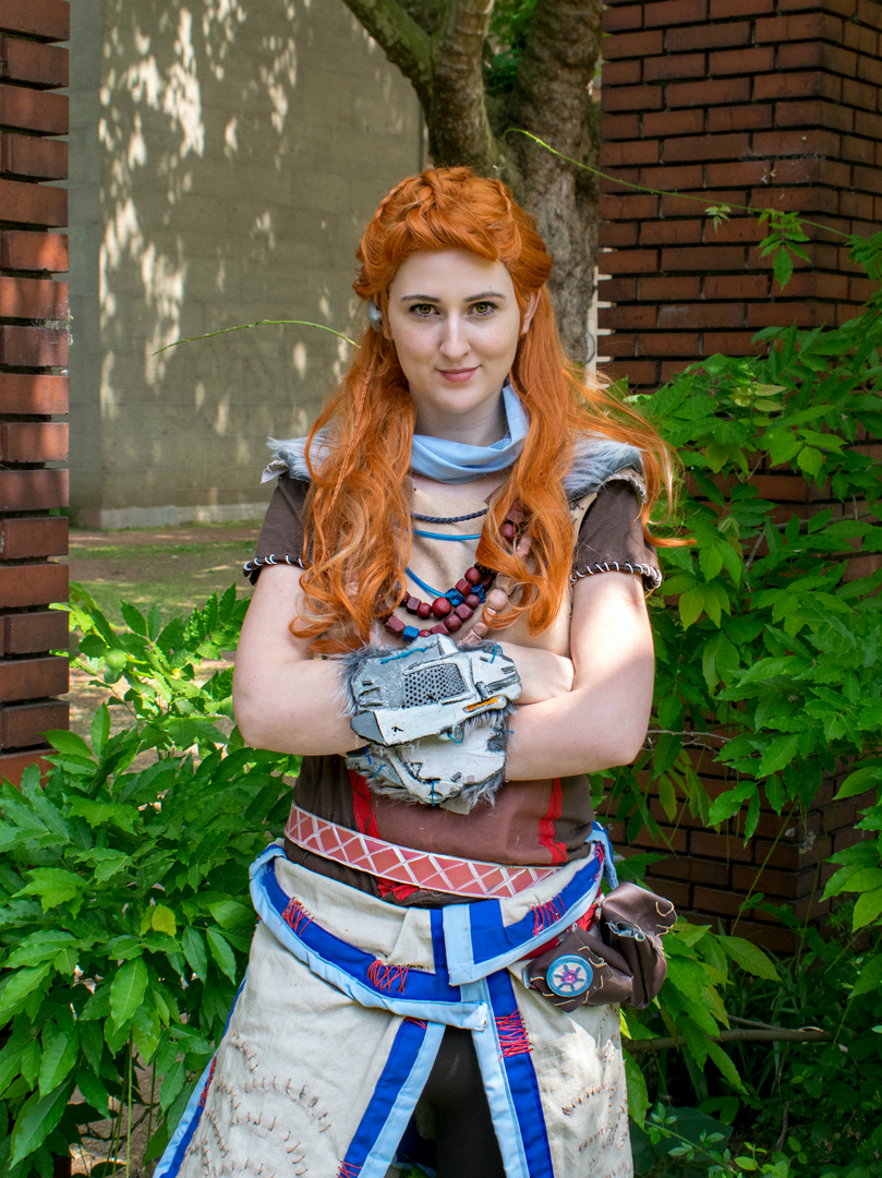 Aloy - Horizon Zero Dawn at Dokomi