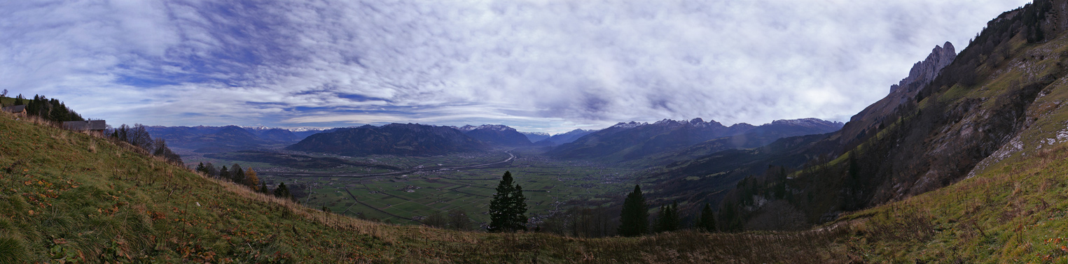 Alp Alpeel (Blick ins Rheintal)