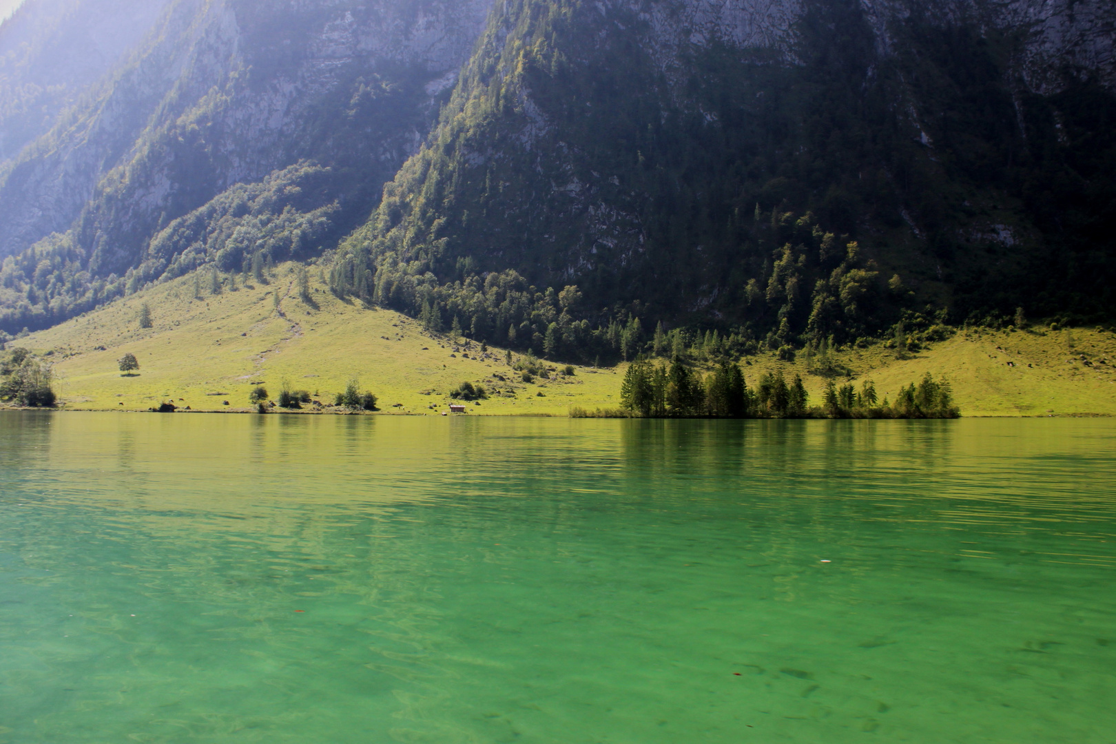 Alp am Königsee