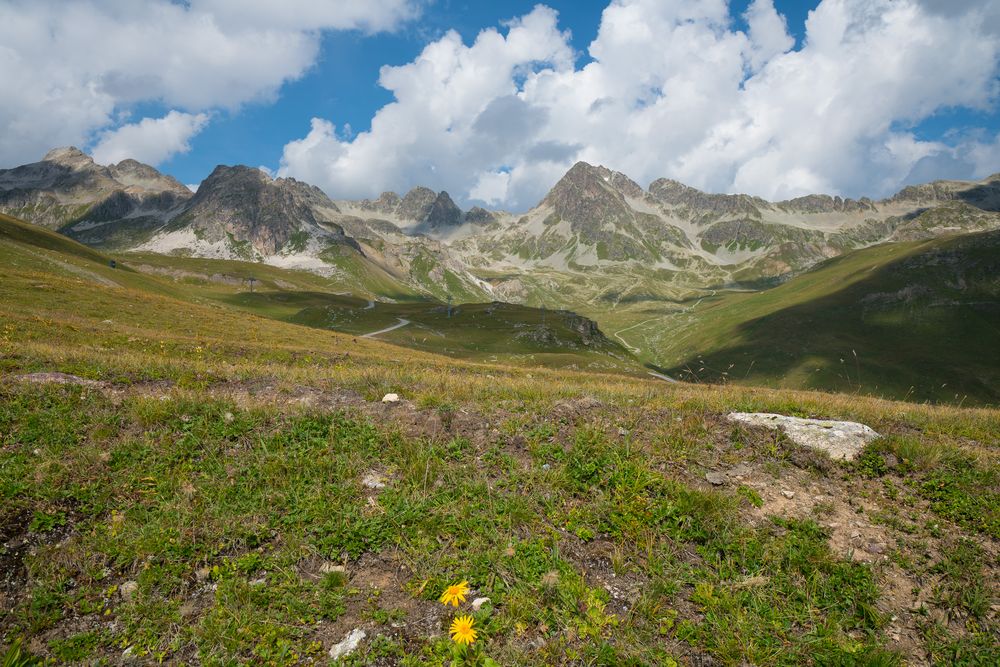 Alp auf Corviglia