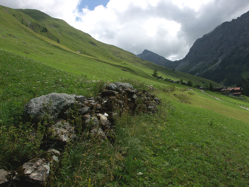 Alp bei Arosa