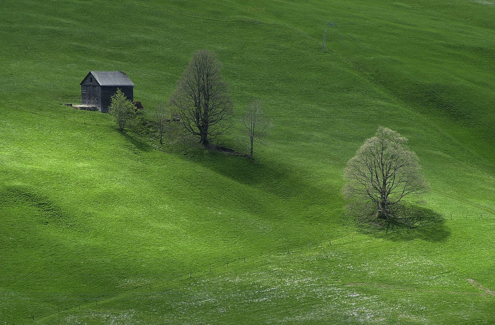 Alp bei Wildhaus