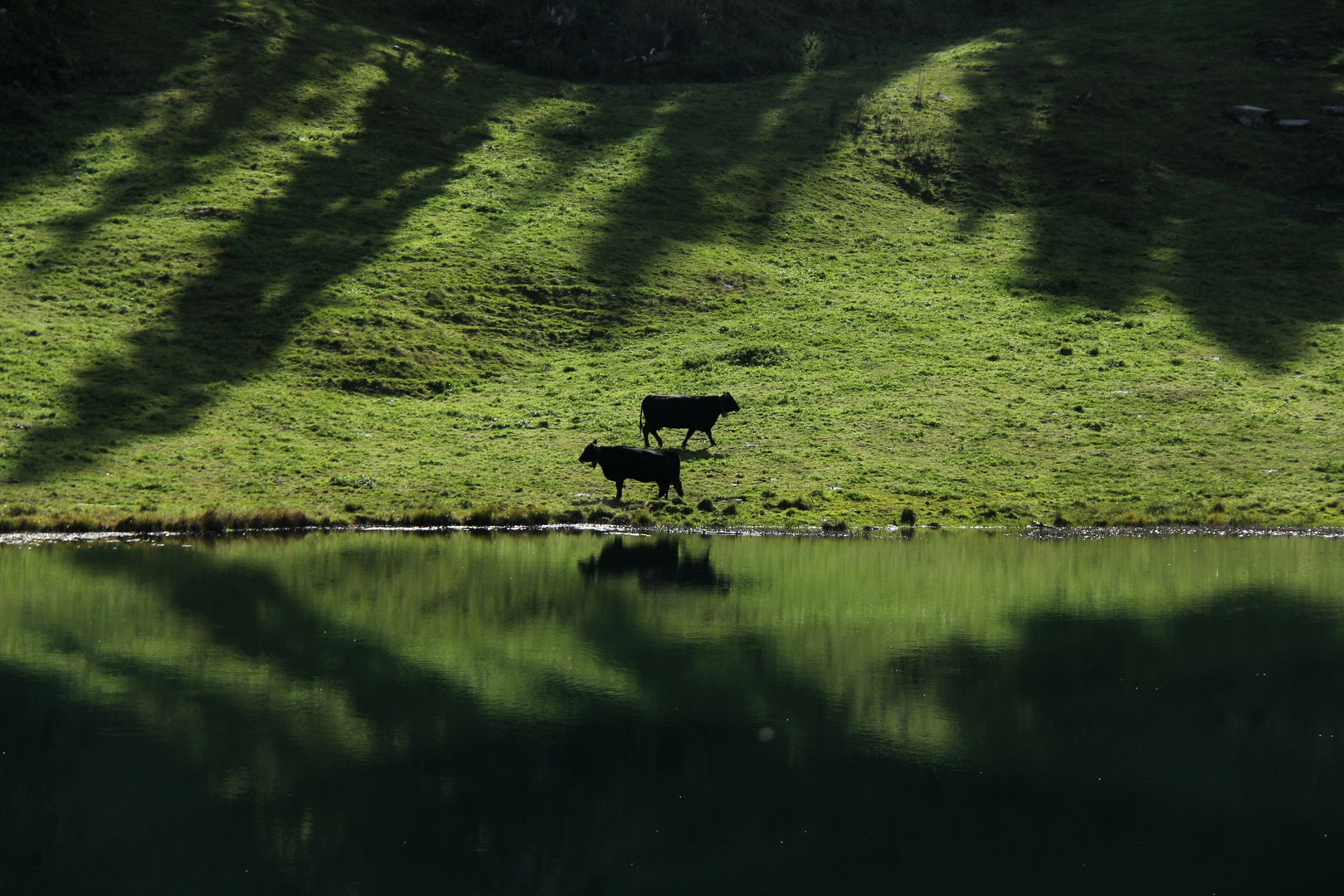 Alp da Laus (Lag da Laus / am Lausersee)