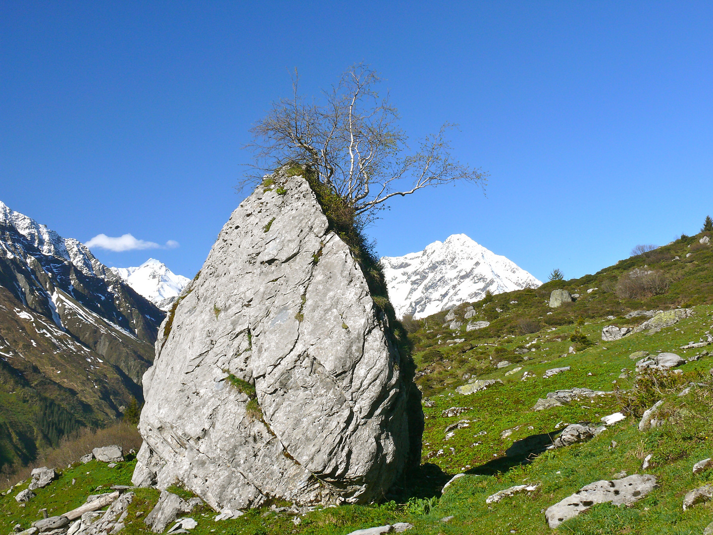 Alp Gnov, Maderanertal