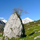 Alp Gnov, Maderanertal