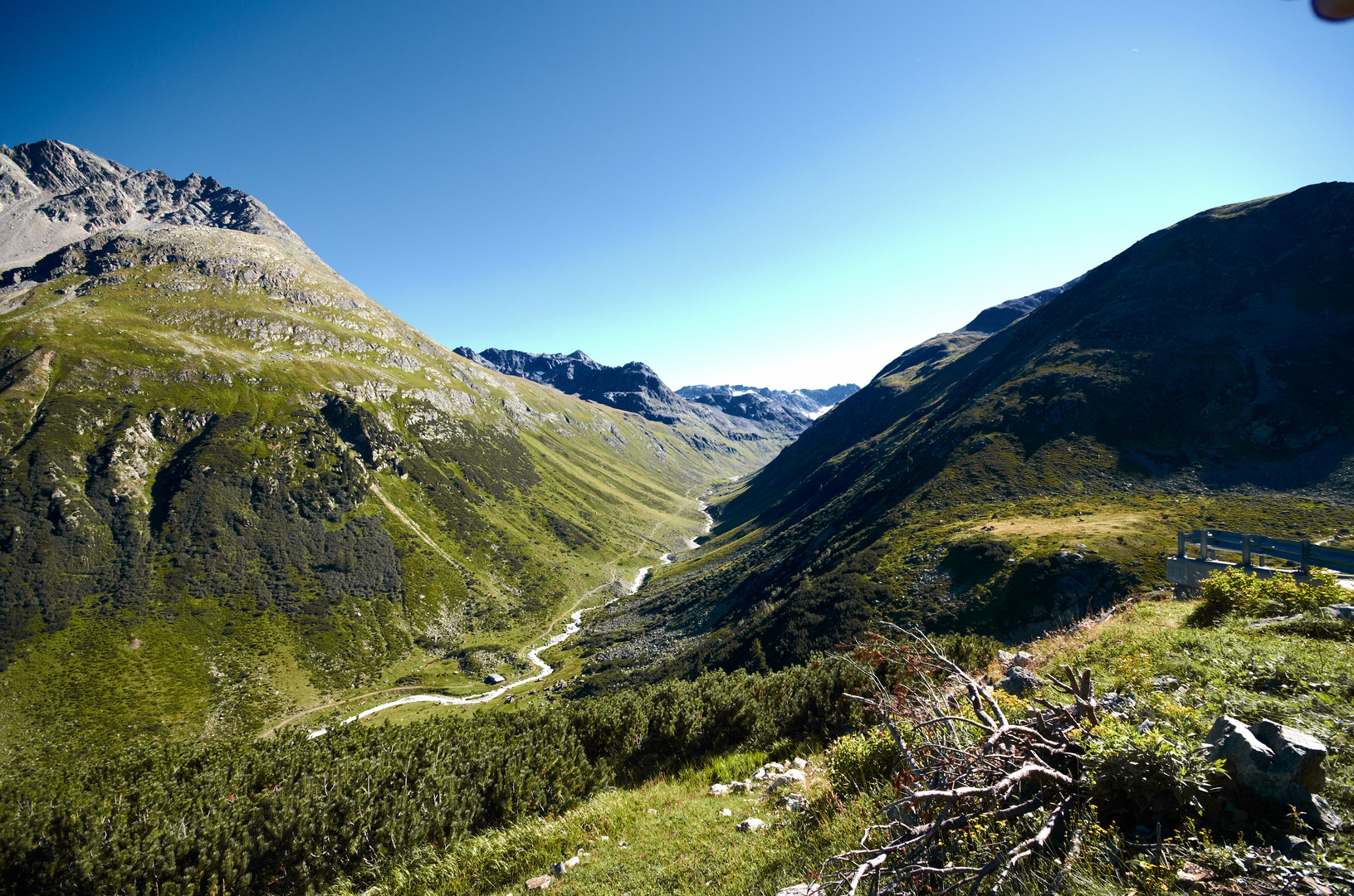 Alp Grialetsch