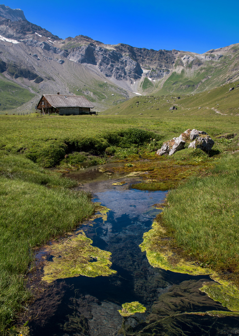 Alp-Idylle in Adelboden