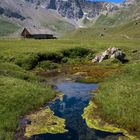 Alp-Idylle in Adelboden