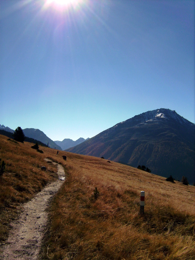 Alp La Schera II, Swiss National Park, near Zernez, Grisons