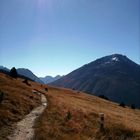 Alp La Schera II, Swiss National Park, near Zernez, Grisons