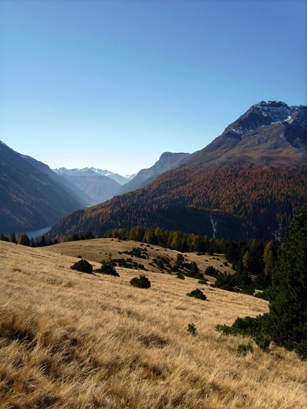 Alp La Schera - Swiss National Park - Engadin