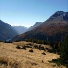 Alp La Schera - Swiss National Park - Engadin