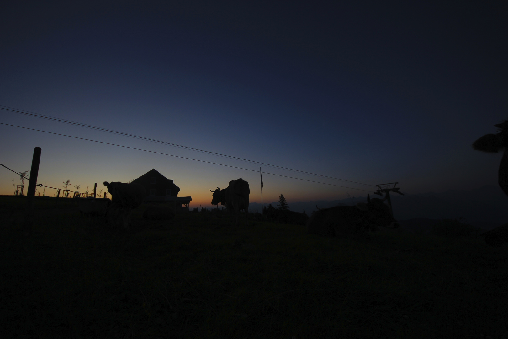 Alp Life - Rigi Scheidegg, Switzerland