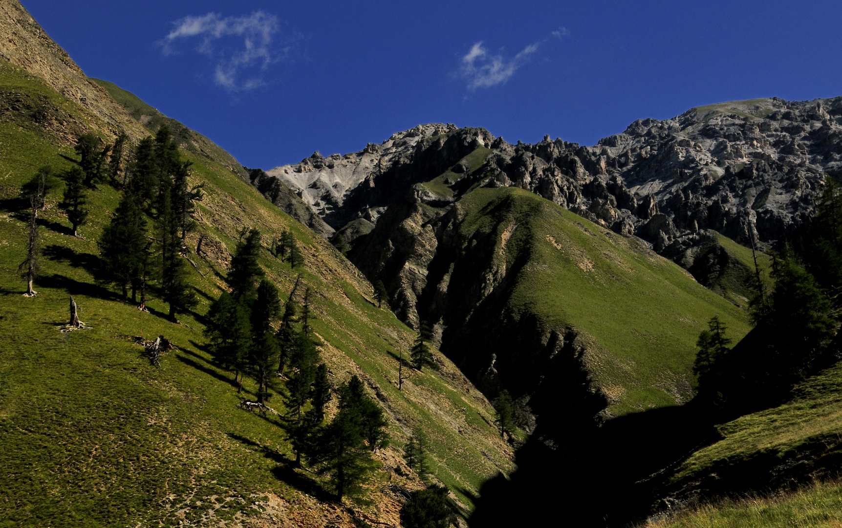 Alp Purcher im Nationalpark