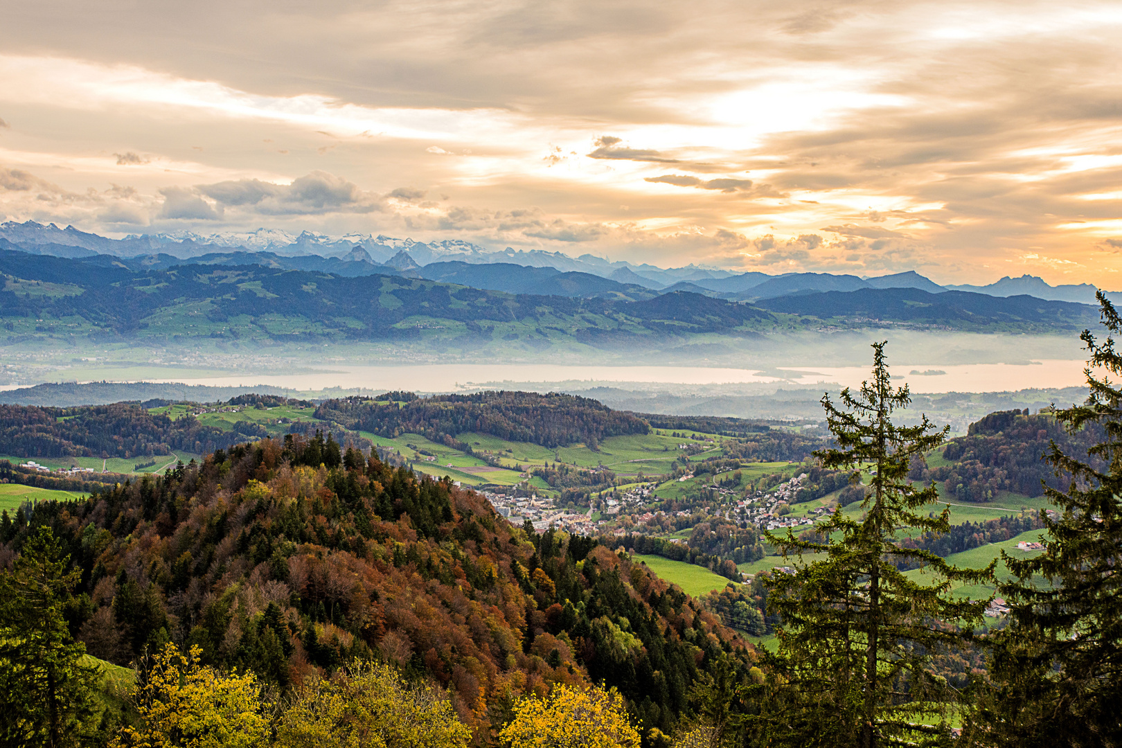 Alp Scheidegg