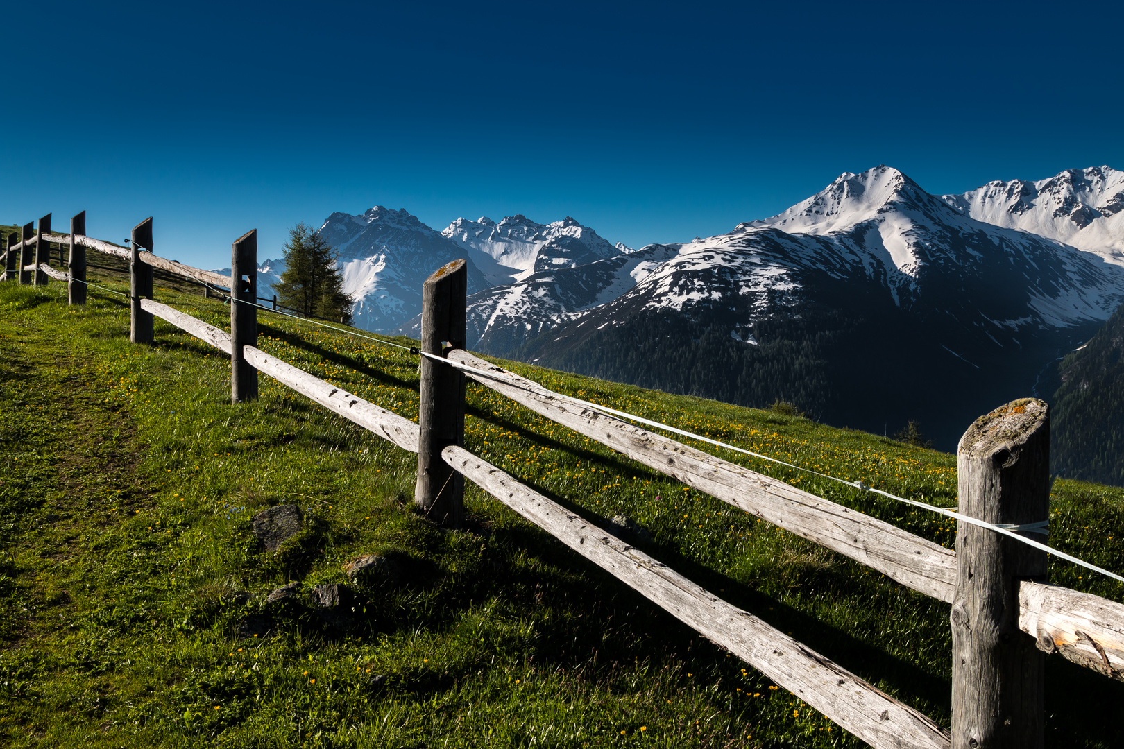 Alp Sura, Engadin