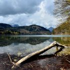 "Alp-Traum" am Alpsee