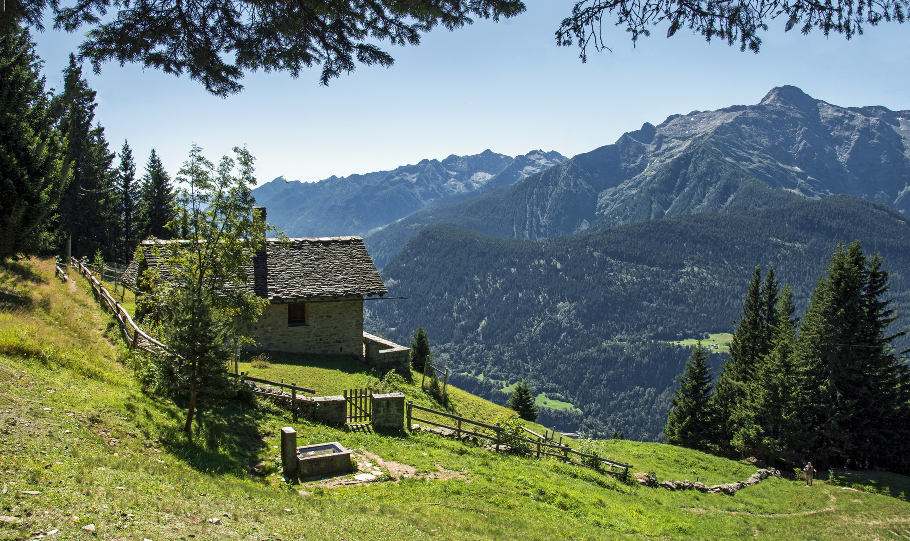 Alp über der Leventina im Tessin 