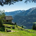 Alp über der Leventina im Tessin 