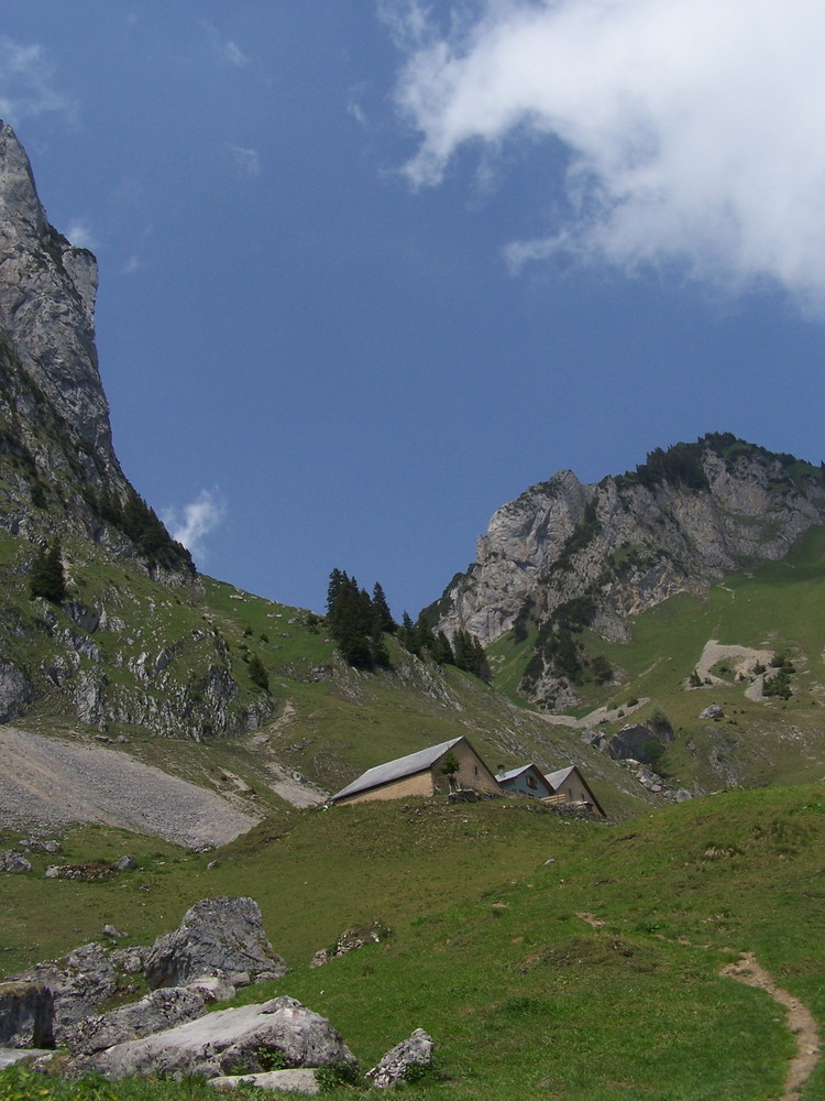 Alp vor Saxer Lücke