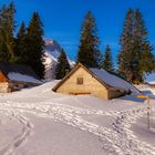 Alp Winteregg