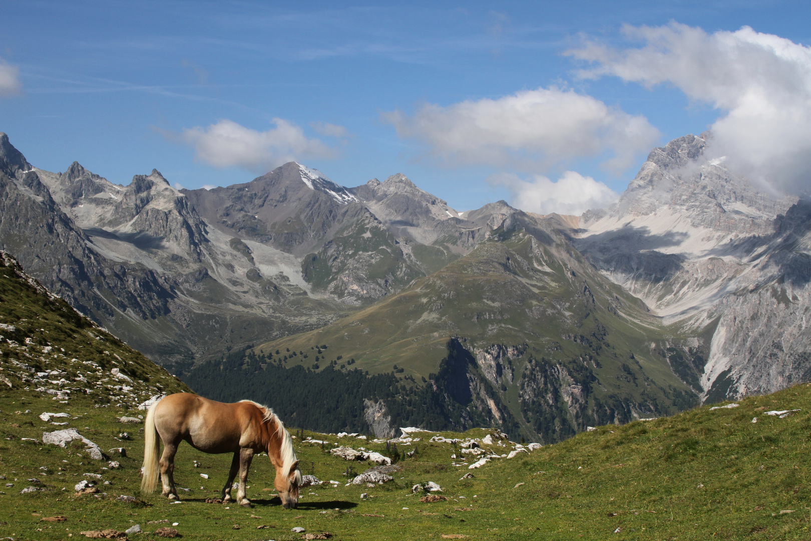 Alp Zavretta