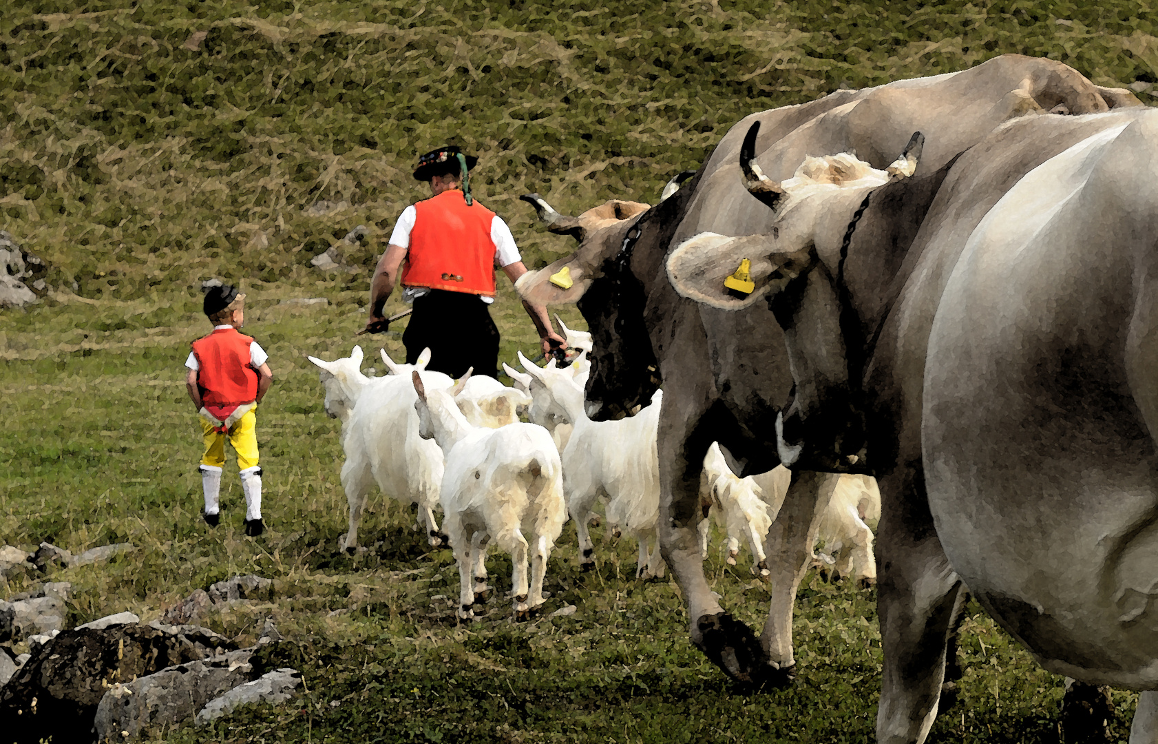 Alpabafahrt im Appenzellerland