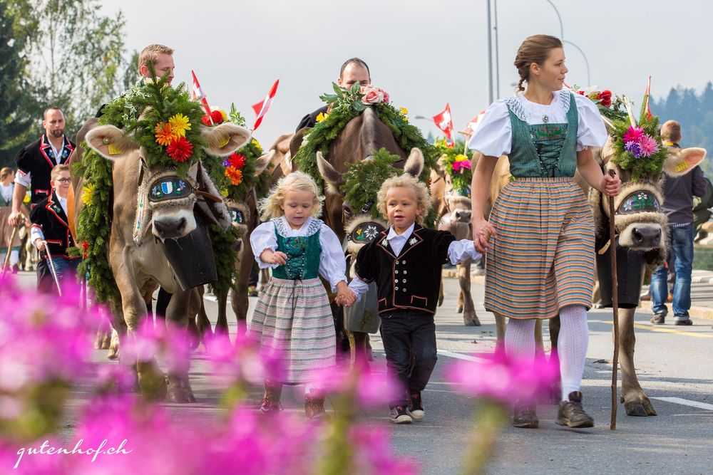 Alpabfahrt 2015 in Schüpfheim