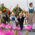 Alpabfahrt 2015 in Schüpfheim