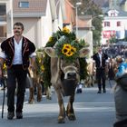 Alpabfahrt in Schüpfheim