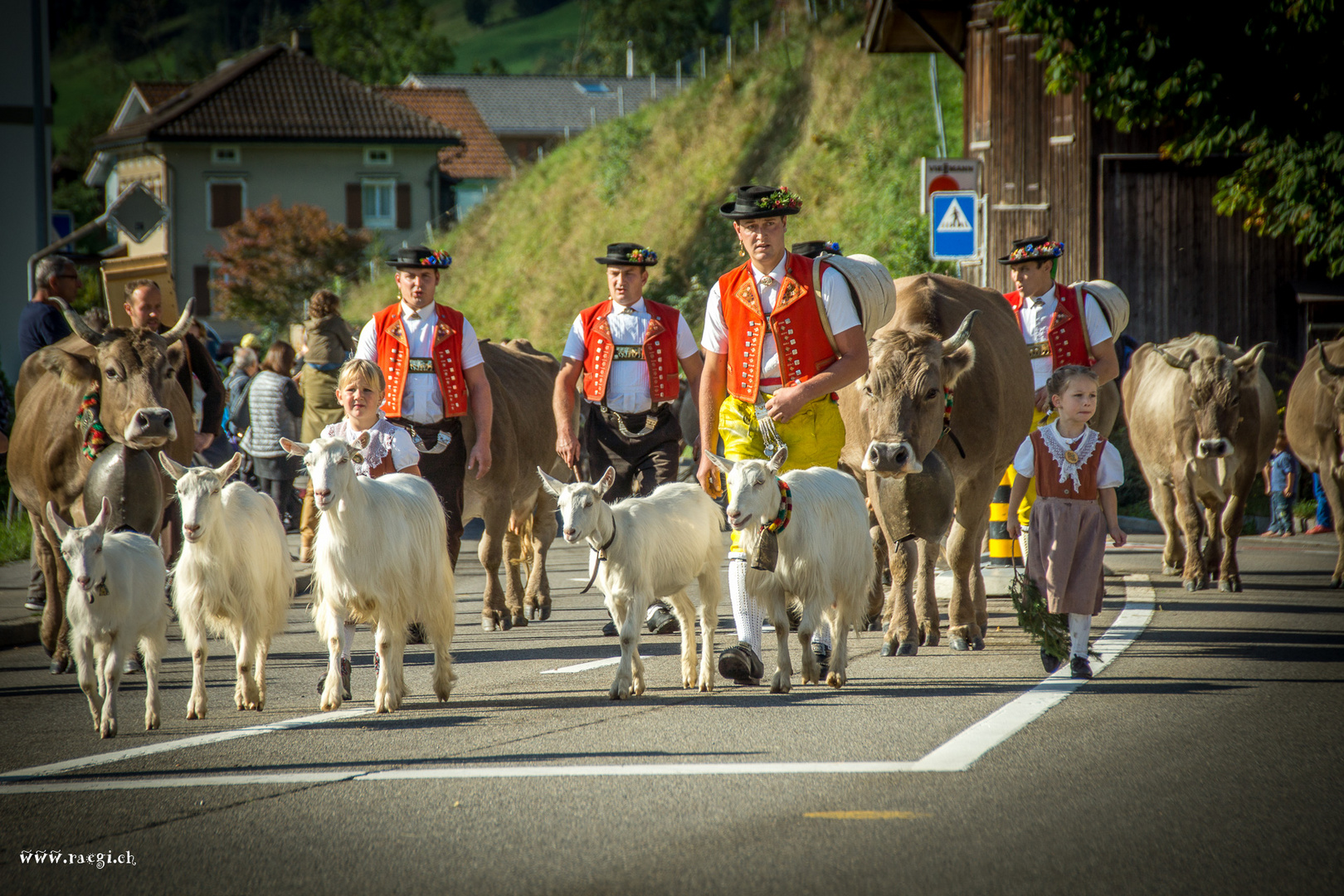 Alpabfahrt Urnäsch