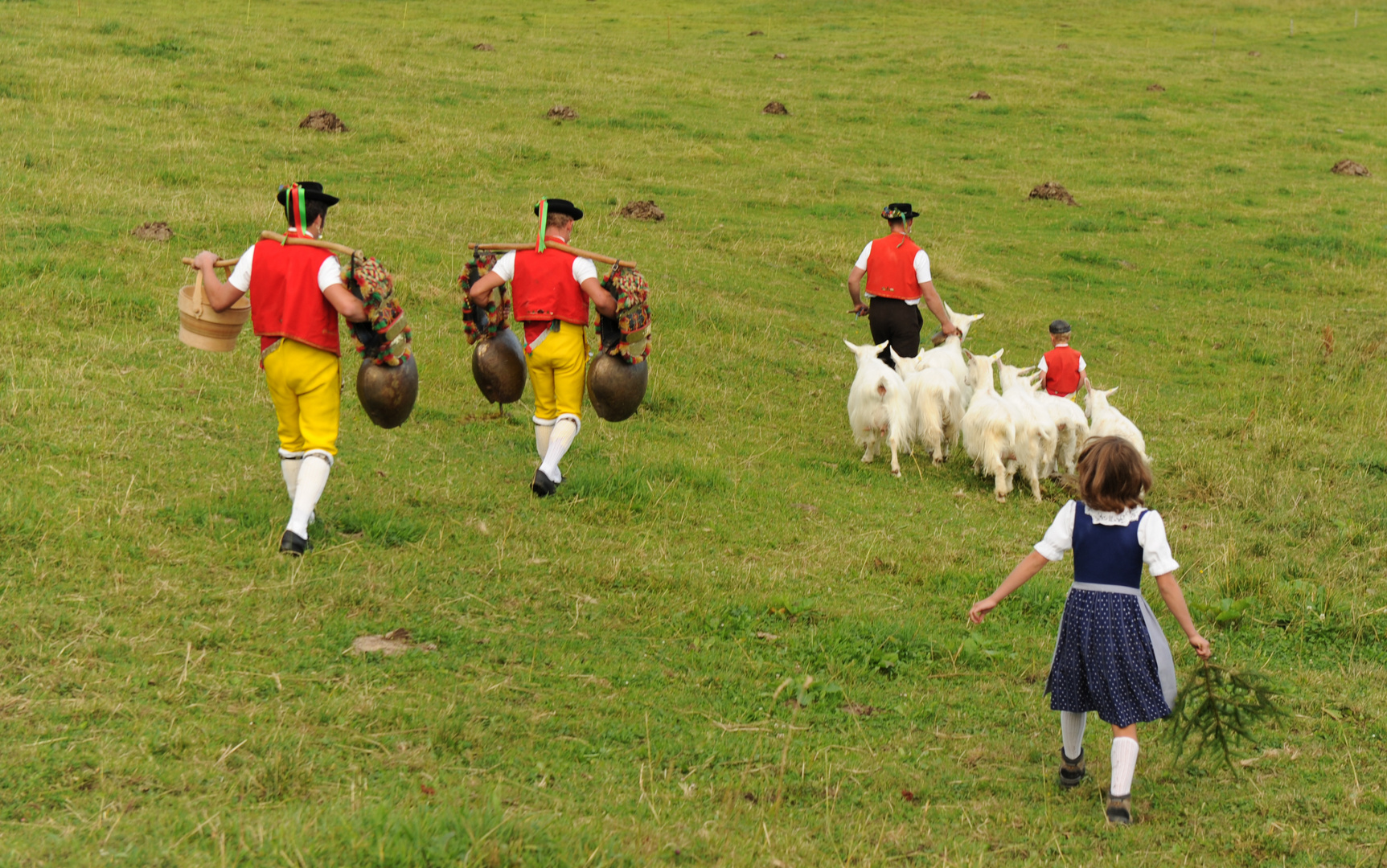 Alpabfahrt von der Schwägalp (Appenzellerland)