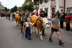 Alpabtrieb bei Mittenwald