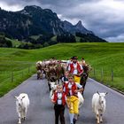 Alpabzu Appenzell