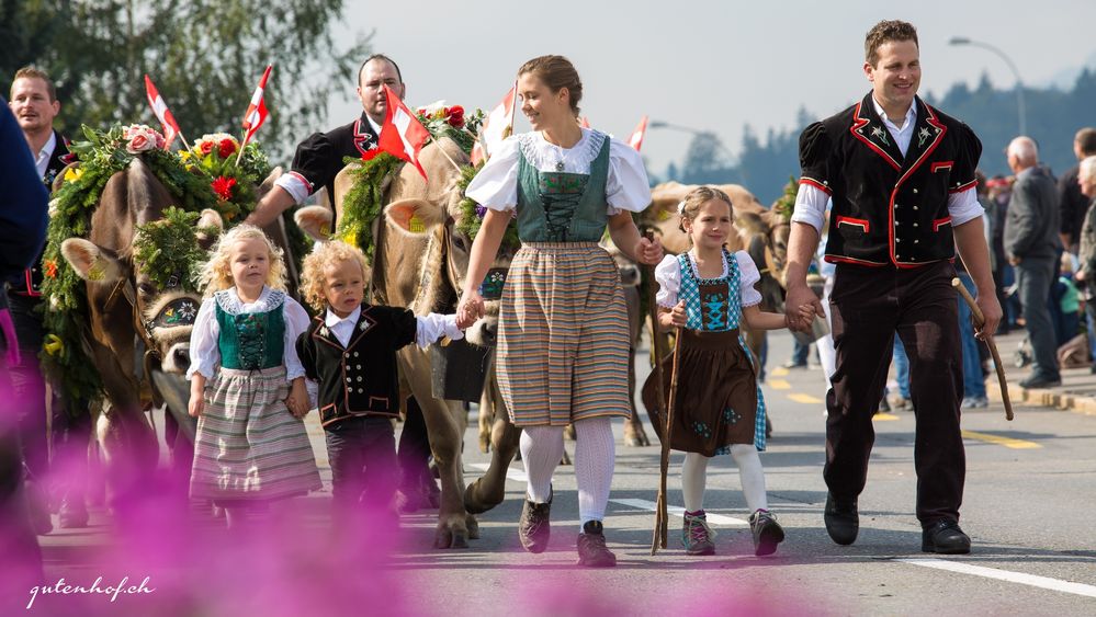 Alpabzug 2015 in Schüpfheim