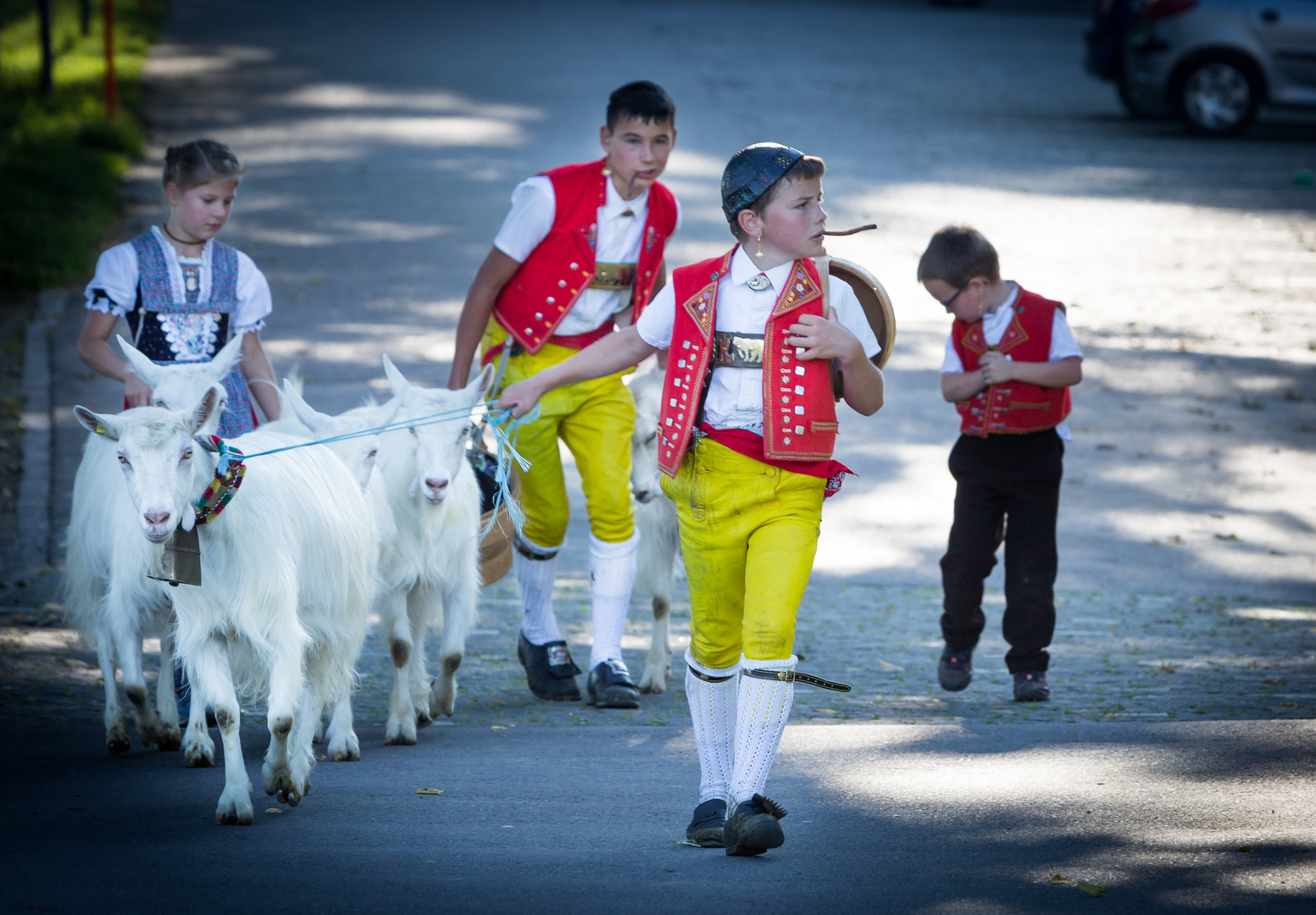 Alpabzug im Appenzellerland