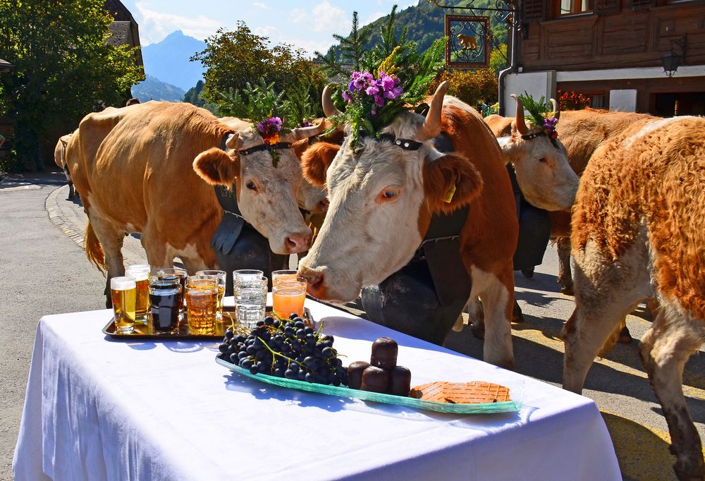 Alpabzug im Berner Oberland