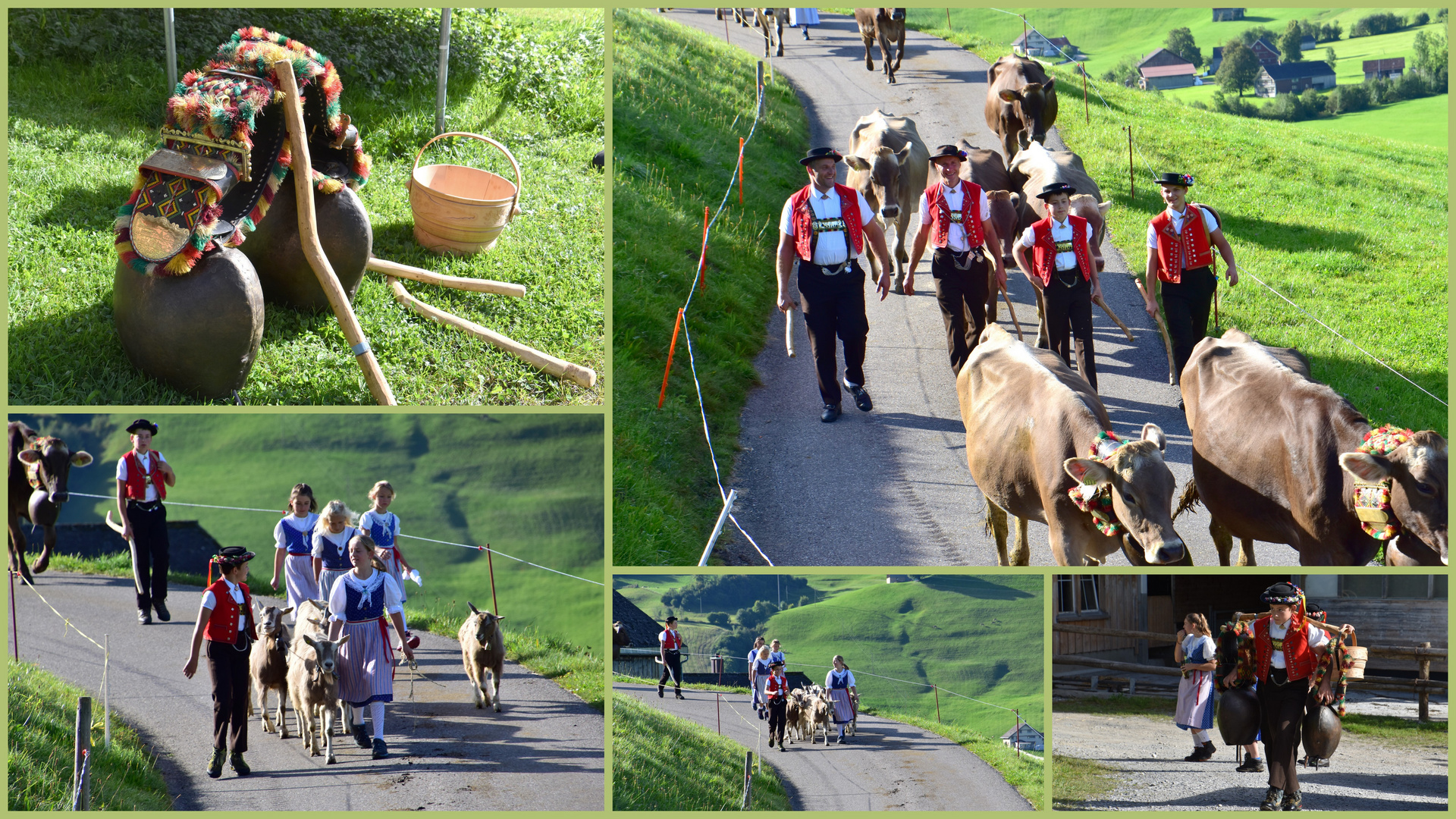 Alpabzug  Stein im Toggenburg